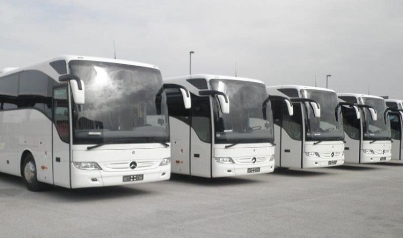 Sicily: Bus company in Trapani in Trapani and Italy