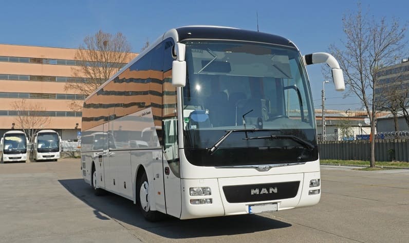 Malta region: Buses operator in Msida in Msida and Malta
